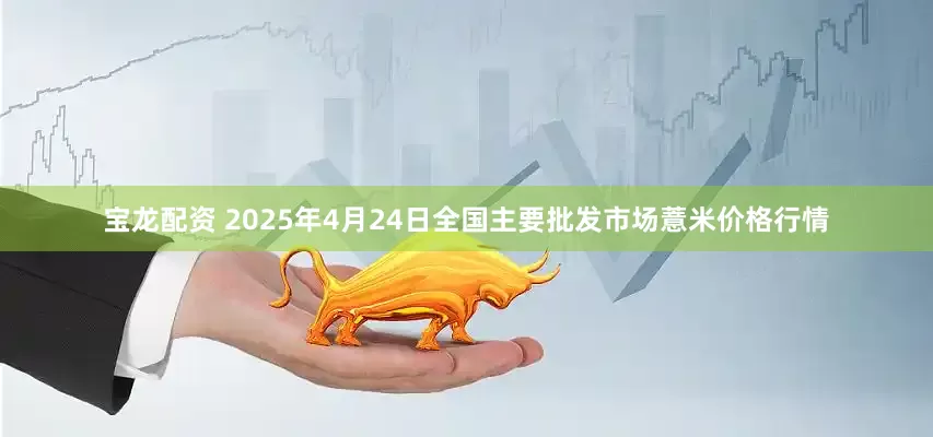 宝龙配资 2025年4月24日全国主要批发市场薏米价格行情