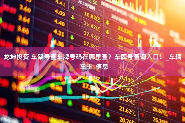 龙坤投资 车架号查车牌号码在哪里查？车牌号查询入口！_车辆_车主_信息